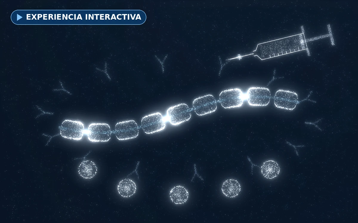 Vacuna, nervio con su cubierta de mielina y anticuerpos que lo protegen, en partículas de luz
